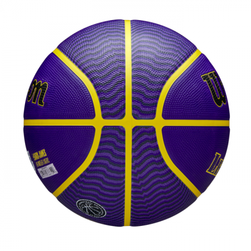 Мяч баскетбольный Wilson NBA PLAYER ICON OUTDOOR BSKT LEBRON NE SZ7 фиолетовый/жёлтый 7