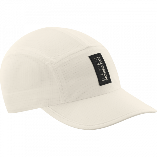 Кросівки Salomon X-ADVENTURE RECON чол. коричневий 12