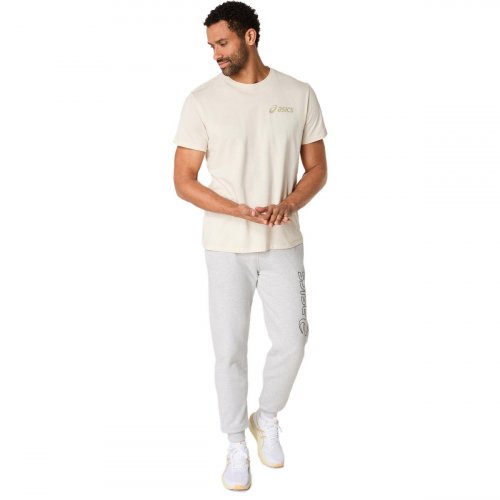 Футболка ASICS CHEST LOGO SS TEE муж. бежевый S