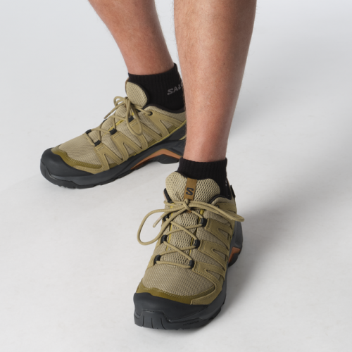Кроссовки Salomon X-ADVENTURE RECON GTX муж. коричневый 8