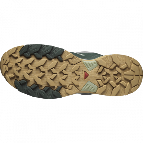 Кроссовки Salomon X ULTRA 360 EDGE GTX муж. серый 8