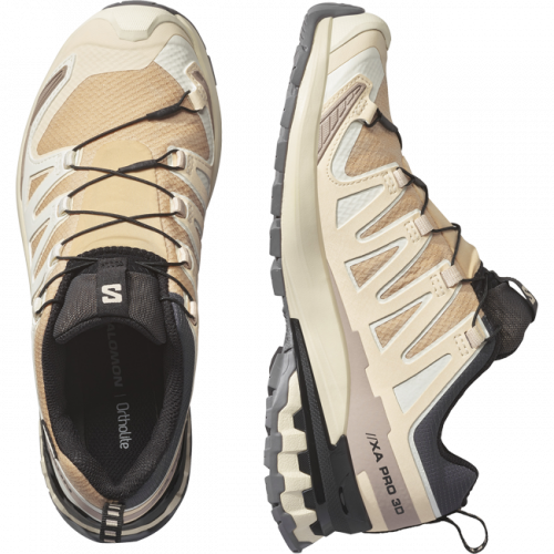 Кроссовки Salomon XA PRO 3D V9 GTX W жен. бежевый 4