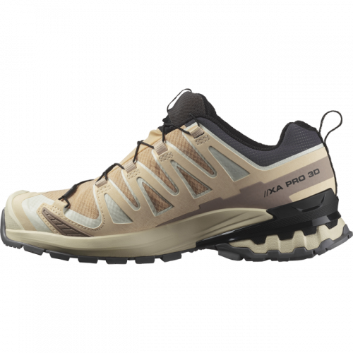 Кроссовки Salomon XA PRO 3D V9 GTX W жен. бежевый 4