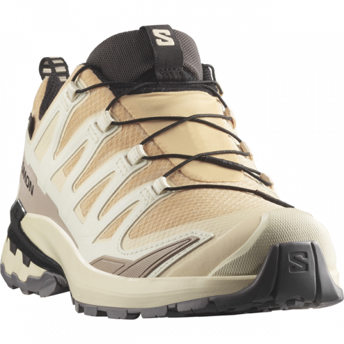 Кроссовки Salomon XA PRO 3D V9 GTX W жен. бежевый 4