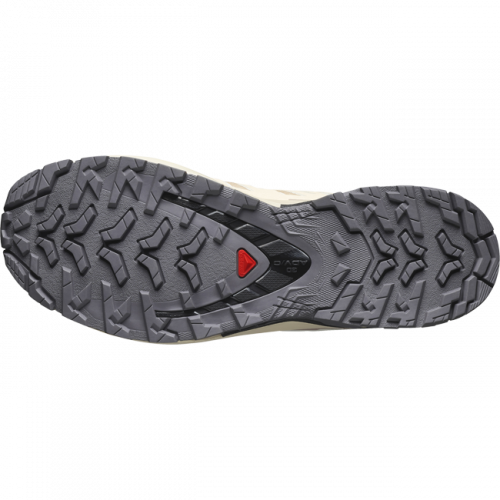 Кроссовки Salomon XA PRO 3D V9 GTX W жен. бежевый 4,5