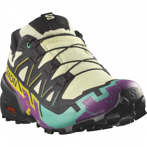 Кроссовки Salomon SPEEDCROSS 6 GTX муж. разноцветный 8
