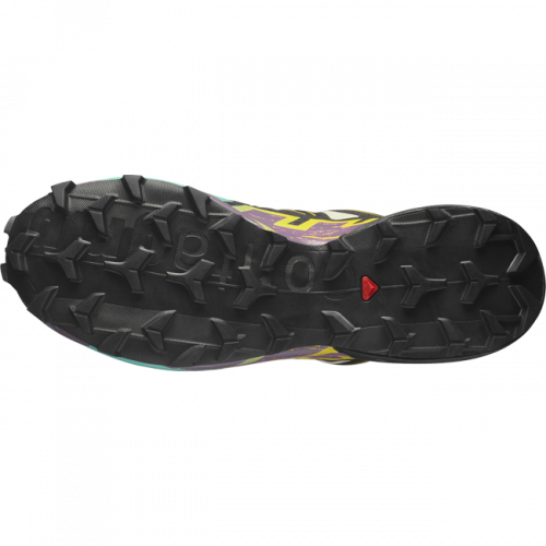 Кроссовки Salomon SPEEDCROSS 6 GTX муж. разноцветный 8