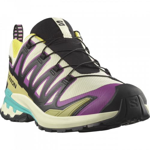 Кроссовки Salomon XA PRO 3D V9 GTX муж. разноцветный 8