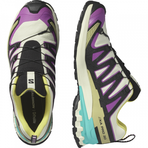 Кроссовки Salomon XA PRO 3D V9 GTX муж. разноцветный 10