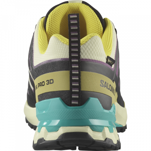 Кроссовки Salomon XA PRO 3D V9 GTX муж. разноцветный 10