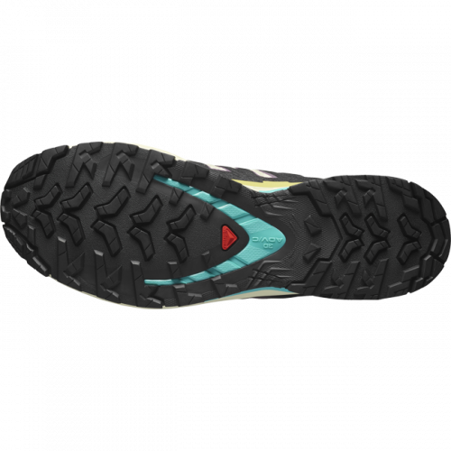 Кроссовки Salomon XA PRO 3D V9 GTX муж. разноцветный 10