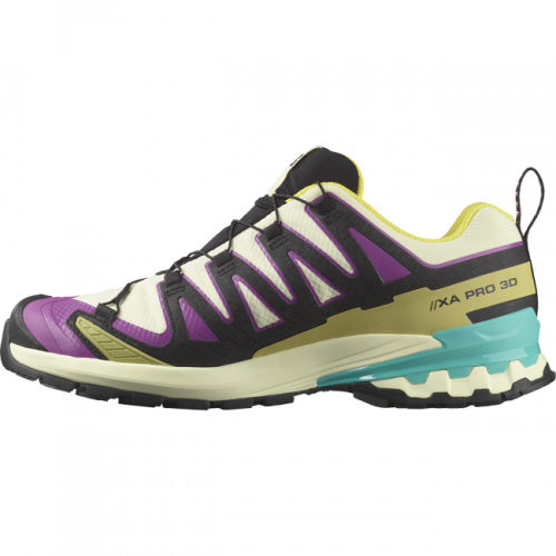 Кроссовки Salomon XA PRO 3D V9 GTX муж. разноцветный 10