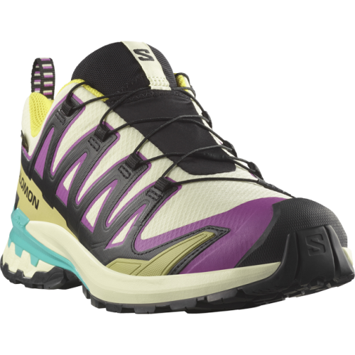 Кросівки Salomon XA PRO 3D V9 GTX чол. різнокольоровий 11,5