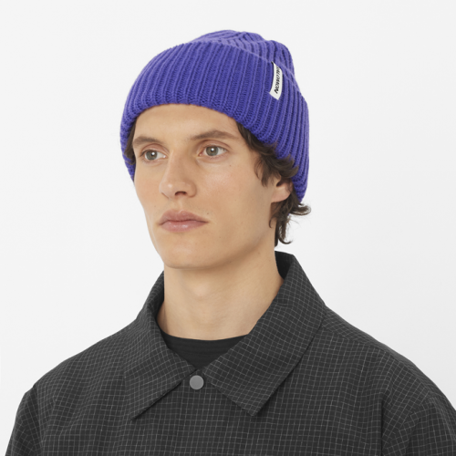 Шапка Salomon SNOWBIRD BEANIE уни. синий OSFA