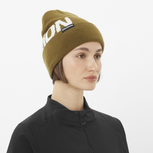 Шапка Salomon HERMITAGE BEANIE уни. коричневый OSFA