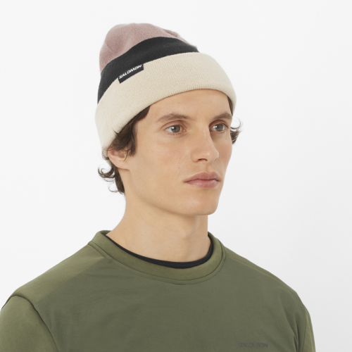 Шапка Salomon FLATSPIN REVERSIBLE BEANI уни. бежевый OSFA