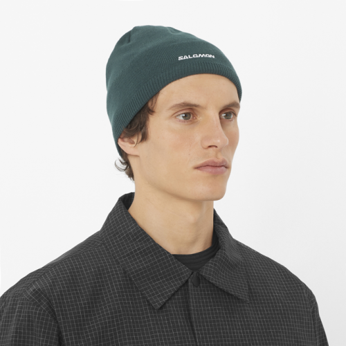 Шапка Salomon SALOMON BEANIE уни. зеленый OSFA