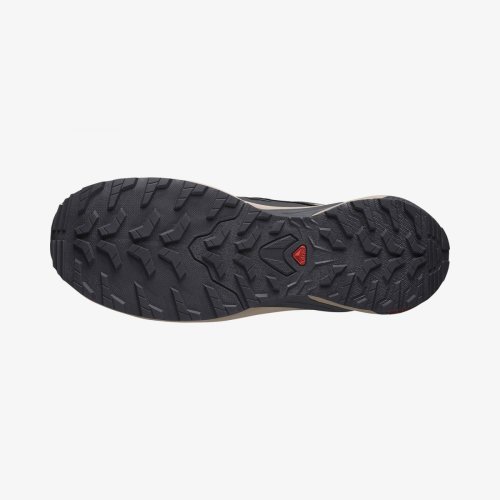 Кросівки Salomon XA META GORE-TEX MIF чол. сірий 9,5