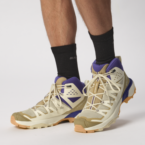 Носки Salomon X ULTRA ACCESS CREW 2-PACK уни. черный-бежевый 39/41