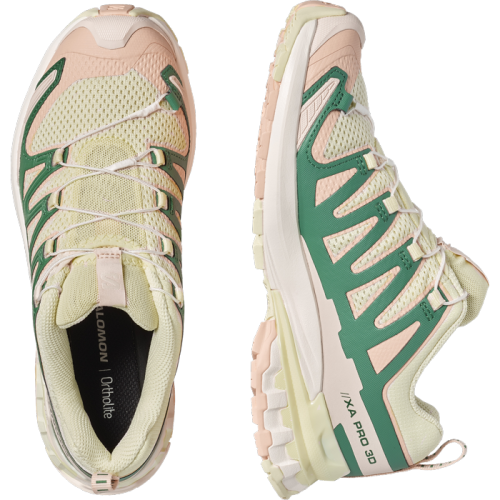 Кросівки Salomon XA PRO 3D V9 W жін. бежевий-зелений 7,5