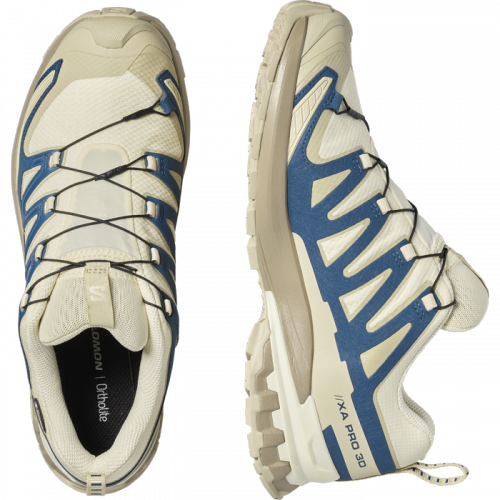 Кросівки Salomon XA PRO 3D V9 GTX чол. бежевий-синій 9