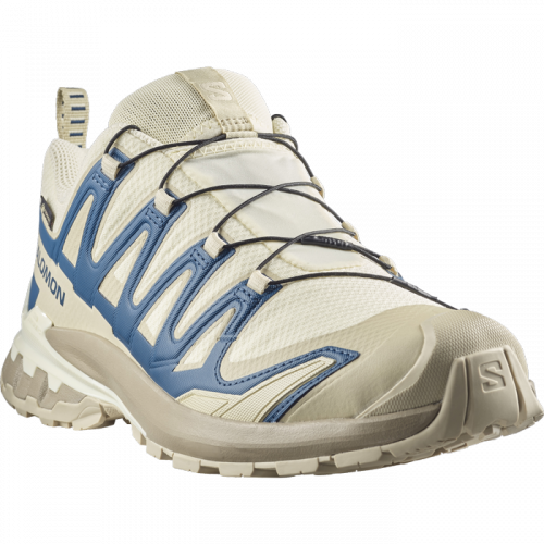 Кросівки Salomon XA PRO 3D V9 GTX чол. бежевий-синій 9
