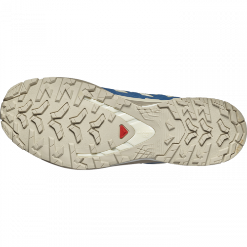 Кросівки Salomon XA PRO 3D V9 GTX чол. бежевий-синій 9