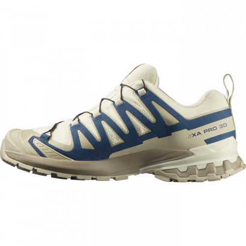 Кросівки Salomon XA PRO 3D V9 GTX чол. бежевий-синій 9