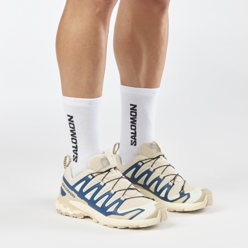 Кросівки Salomon XA PRO 3D V9 чол. бежевий-синій 7,5