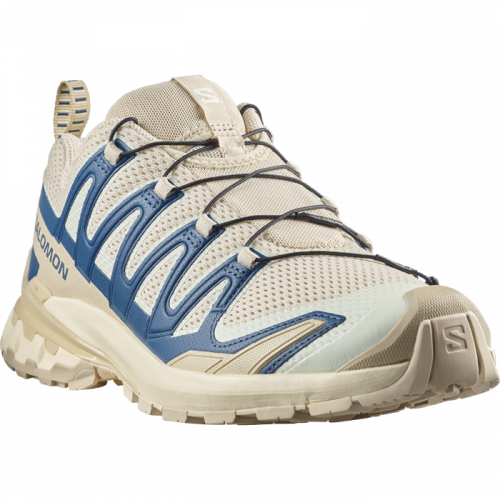 Кросівки Salomon XA PRO 3D V9 чол. бежевий-синій 7,5