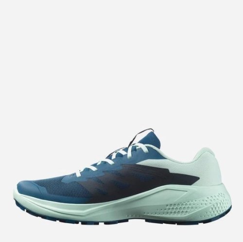 Кросівки Salomon ALPHAGLIDE чол. зелений-синій 10