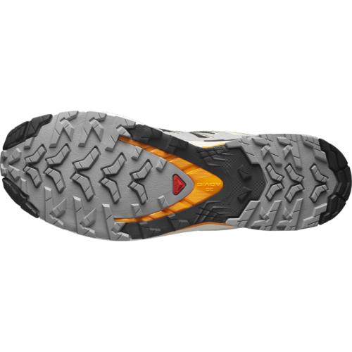 Кросівки Salomon XA PRO 3D V9 чол. бежевий-сірий 7