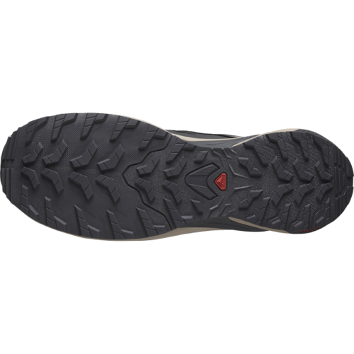 Кросівки Salomon XA META GORE-TEX MIF чол. сірий 7,5