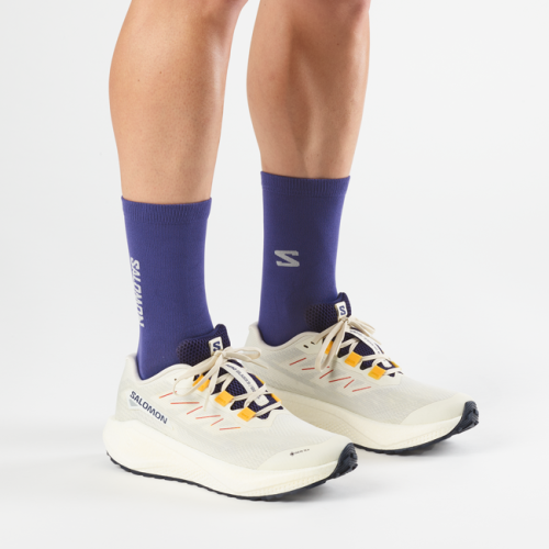 Кроссовки Salomon AERO BLAZE 3 GRVL GTX муж. светло-серый 8,5
