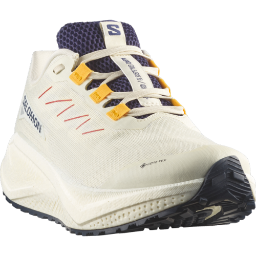 Кроссовки Salomon AERO BLAZE 3 GRVL GTX муж. светло-серый 8,5
