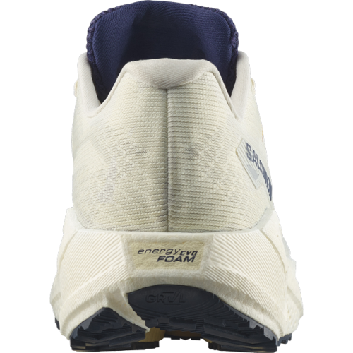 Кроссовки Salomon AERO BLAZE 3 GRVL GTX муж. светло-серый 8,5
