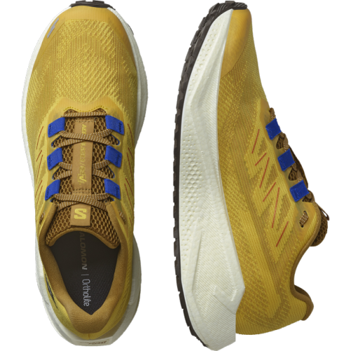 Кросівки Salomon AERO BLAZE 3 GRVL чол. жовтий 10,5