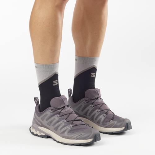 Кроссовки Salomon XA PRO 3D V9 муж. серый-фиолетовый 10,5