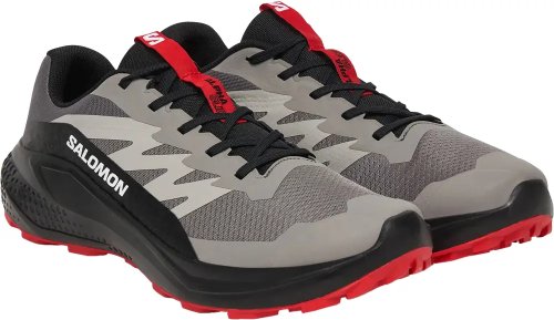 Кроссовки Salomon ALPHAGLIDE муж. серый-черный 10,5