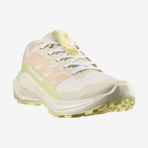 Кросівки Salomon ALPHAGLIDE W жін. бежевий 5