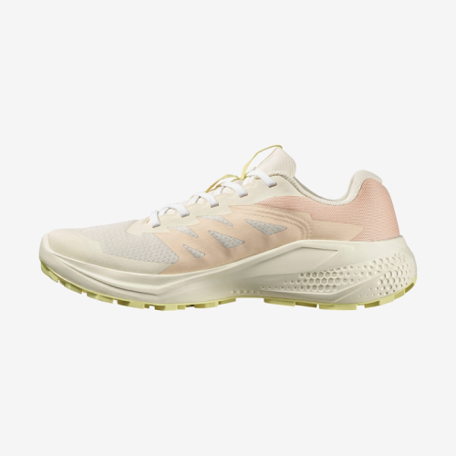 Кросівки Salomon ALPHAGLIDE W жін. бежевий 5