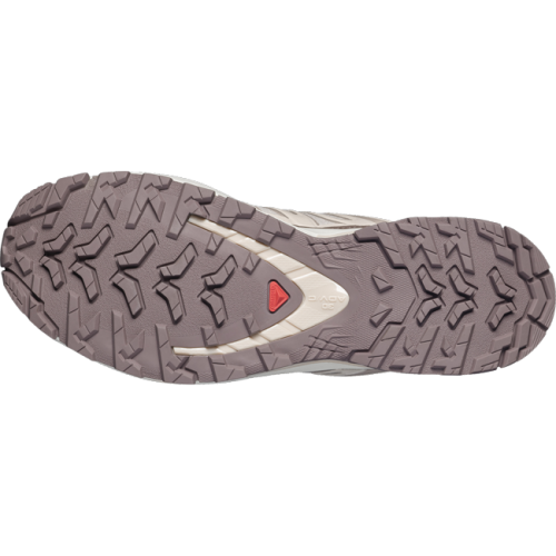 Кроссовки Salomon XA PRO 3D V9 LIFELONG W жен. бежевый 5