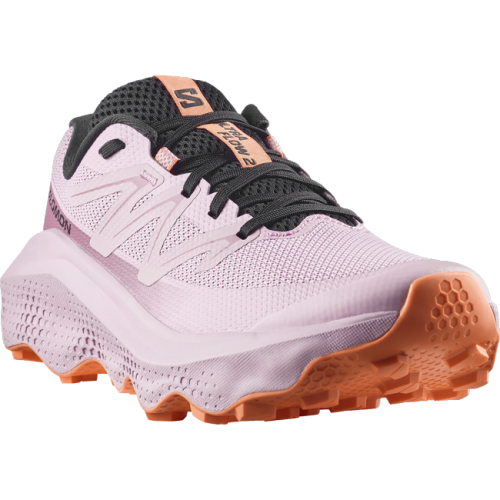 Кросівки Salomon ULTRA FLOW 2 W жін. рожевий 5