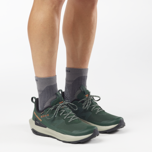 Кросівки Salomon ELIXIR ACTIV GTX чол. зелений 10,5