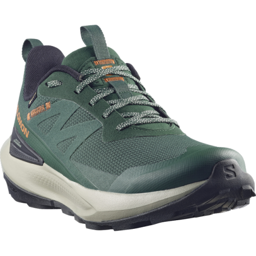Кросівки Salomon ELIXIR ACTIV GTX чол. зелений 10,5