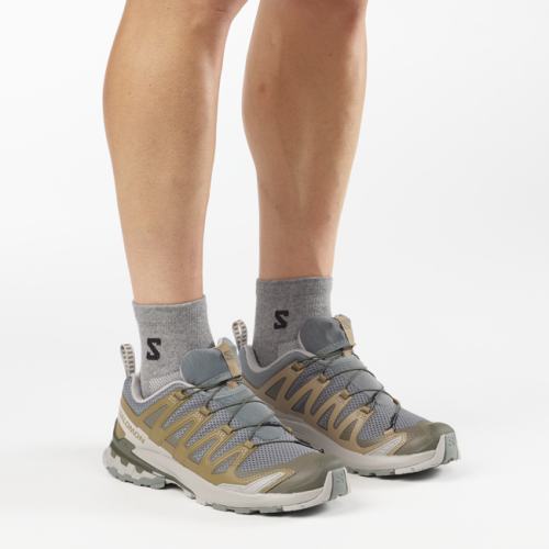 Кроссовки Salomon XA PRO 3D V9 муж. коричневый-серый 10,5