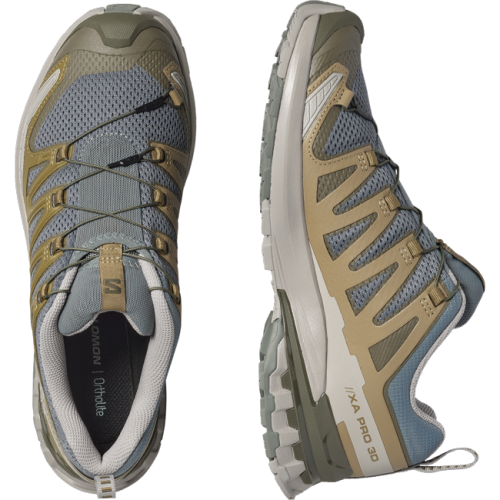 Кроссовки Salomon XA PRO 3D V9 муж. коричневый-серый 10,5