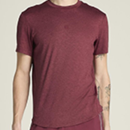 Футболка Wilson муж. EVERYDAY PERFORMANCE TEE CRANBERRY бордовый LG