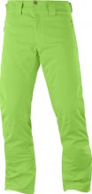 Штаны г/л SALOMON STORMRACE PANT M муж. FW18-19 зеленый S/R
