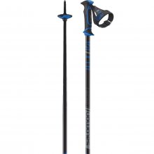 Палки для горных лыж Salomon X10 ERGO S3 19-20 черный/синий 120